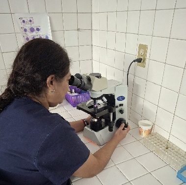 Estudios de Laboratorio en la Misma Área Física
