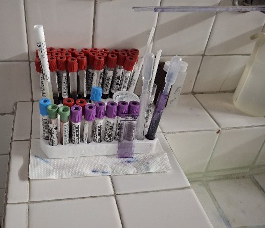 Estudios de Laboratorio en la Misma Área Física